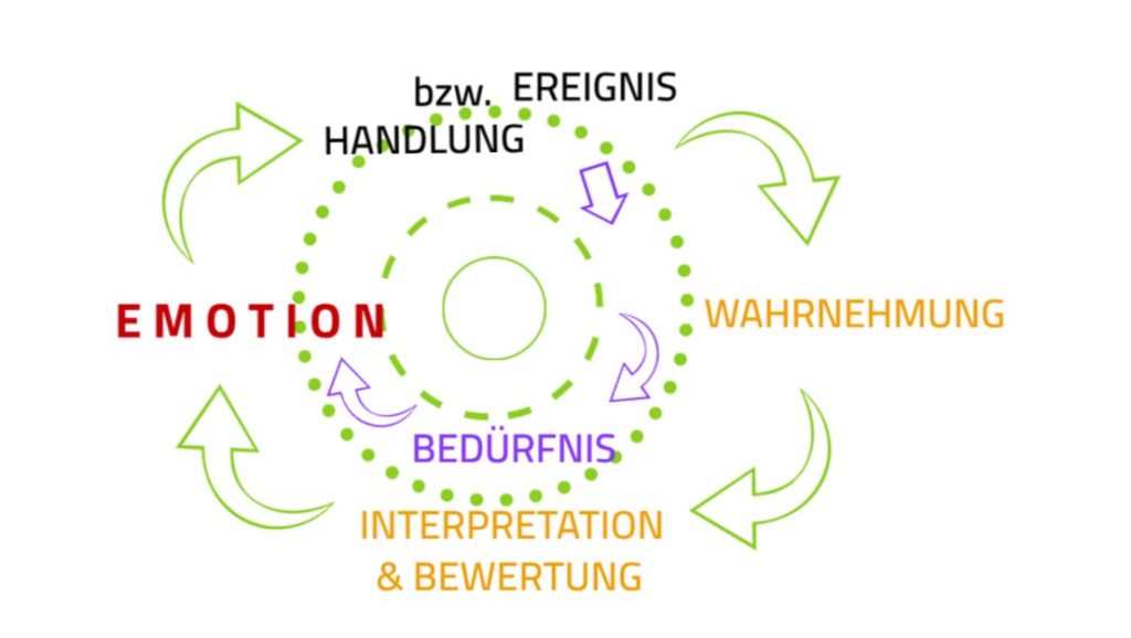 Wie Wut und andere Emotionen entstehen?